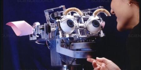 روبوتات تشعر بالألم والفرح: حدود الأخلاق في عالم الآلات - المصدر 7