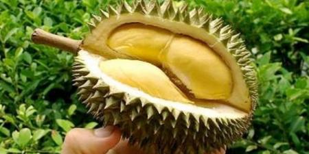 حقائق غذائية غريبة عن الفواكه لم تخطر على بالك - المصدر 7