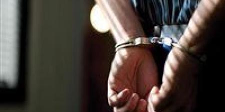 بيان من النيابة العامة بشأن واقعة مقتل موظف توكيل سيارات بالإسكندرية - المصدر 7