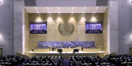 "مجلس حقوق الإنسان" يدعو لاحترام وحدة السودان ويدين التدخل الخارجي الذي يؤجج الصراع - المصدر 7