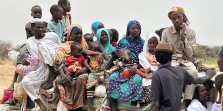 بعثة الأمم المتحدة المستقلة بالسودان: الدعم السريع أنشأ خنادق حول الفاشر - المصدر 7