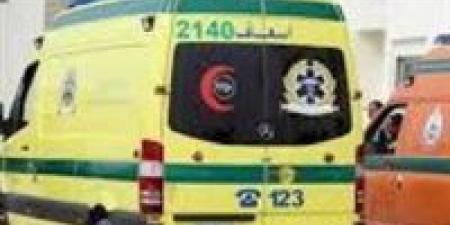 ننشر أسماء 20 عامل أصيبوا في حادث مروع شرق النيل بالمنيا - المصدر 7