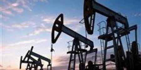 أسعار النفط تتراجع إلى 0.29%.. أوبك+ تتوقع توازن المعروض في 2026 - المصدر 7