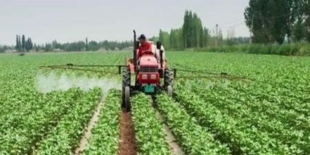 فقط في صعيد مصر… ذوو الهمم يقودون التنمية والتصنيع الزراعي وتنمية المجتمع المحلي - المصدر 7