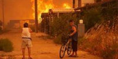 حرائق غابات الجزائر: النيران تلتهم 11 ولاية ونداء عاجل من السلطات - المصدر 7