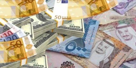 أسعار العملات العربية والأجنبية اليوم الجمعة 14 نوفمبر 2025 - المصدر 7