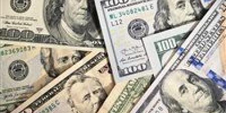 ومن الحظ ما يملأ الجيوب".. أمريكية تفوز بخمسين ألف دولار رغم الخطأ - المصدر 7