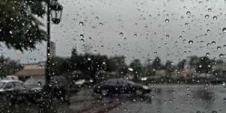 "أول شتوة" .. عجلون الأعلى هطولا بـ 23.7 ملم ثم إربد بـ 14.8 ملم - المصدر 7