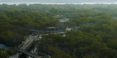 أبوظبي تطلق بوابة لرصد حالة البيئة بتقنيات الذكاء الاصطناعي - المصدر 7