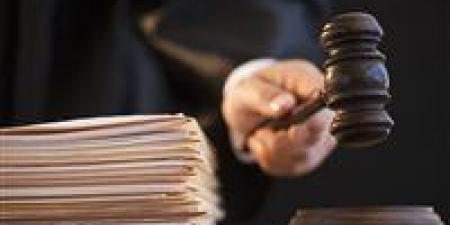 السجن 5 سنوات لمتهم في قضية "خلية العجوزة" - المصدر 7