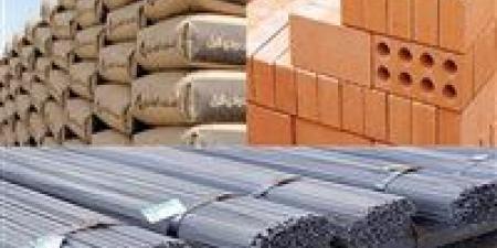 مواد البناء ترتفع.. من يدفع الثمن؟ - المصدر 7