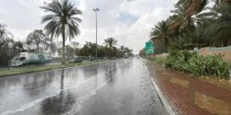 استمرار هطول الأمطار على مناطق أخرى بالمملكة - المصدر 7