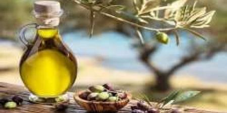 تعرف على الفوائد الصحية لزيت الزيتون بشرط واحد - المصدر 7