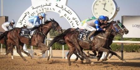 موسم سباقات مضمار الشارقة ينطلق غدا - المصدر 7