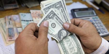 سعر الدولار مقابل الجنيه المصري اليوم السبت 15 نوفمبر 2025 - المصدر 7