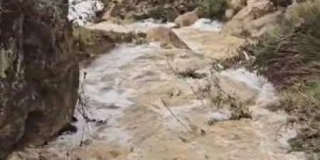 بالفيديو .. جريان لسيول الأمطار في وادي بمحافظة عجلون - المصدر 7