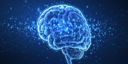 أطعمة ومشروبات تهدد صحة الدماغ وتزيد خطر الخرف - المصدر 7