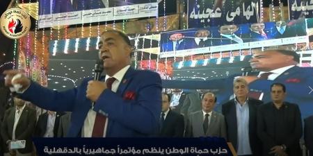 حزب حماة الوطن ينظم مؤتمراً جماهيرياً حاشدا بالدقهلية دعماً لمرشحه بانتخابات مجلس النواب 2025 - المصدر 7