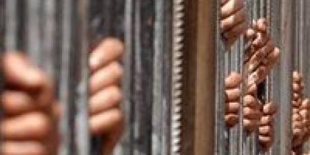 تأجيل محاكمة 56 متهماً بخلية التجمع لجلسة 19 نوفمبر الجاري - المصدر 7