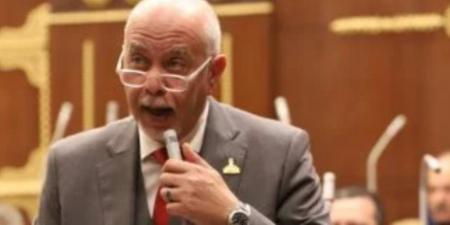 النائب حازم الجندي: الاستراتيجية الوطنية للصحة الرقمية تعزز قدرة الدولة على إدارة القطاع الصحي بكفاءة - المصدر 7