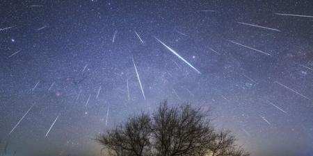 الإمارات على موعد مع أجمل الظواهر الفلكية في نوفمبر.. زخات الأسديّات تزيّن السماء - المصدر 7