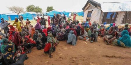 "نماء الخيرية" الكويتية توزع مساعدات غذائية ولحوما على آلاف اللاجئين السودانيين في تشاد - المصدر 7