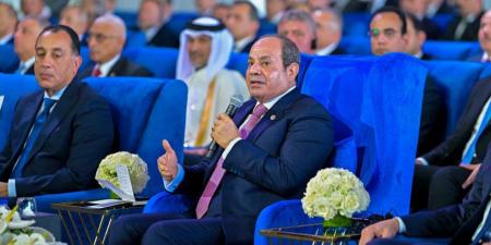الرئيس السيسي يثمن دعم الشعب المصرى وصلابته فى مواجهة التحديات - المصدر 7