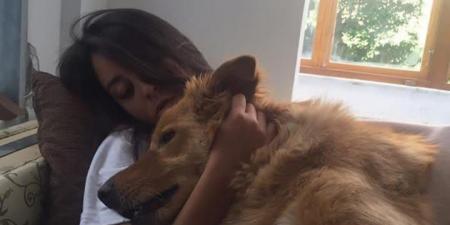 وداعا ابني الأول.. مريم الخشت تنعي كلبها بكلمات مؤثرة - المصدر 7