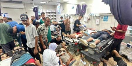الصحة العالمية تعلن وفاة أكثر من 900 مريض في قطاع غزة بسبب تأخر الإجلاء الطبي - المصدر 7