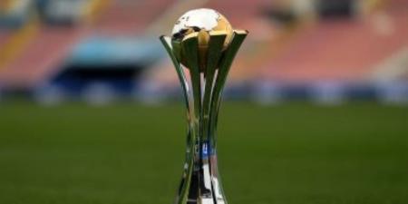 علي طاولة الفيفا .. مطالبات بسحب تنظيم كأس العالم 2030 من المغرب بسبب الكلاب - المصدر 7