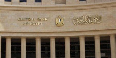 البنك المركزي المصري بصدد إطلاق تطبيق «هويتي» الرقمي - المصدر 7