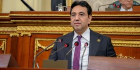النائب أيمن محسب: توجيهات الرئيس في ملف البترول تعكس الحرص على بناء قطاع طاقة متكامل ومستدام - المصدر 7
