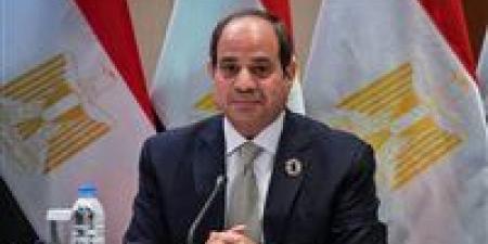 الرئيس السيسي: مصر تشهد اليوم ثمرة الإنجاز في قطاعات الموانئ والسكك الحديدية والطرق والمحاور - المصدر 7