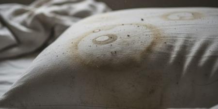 5 Genius Tricks for Cleaning and Disinfecting Your Pillow - المصدر 7