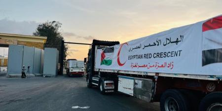 مصر توزع مليون كرتونة إغاثية داخل غزة عبر اللجنة المصرية العاملة بالقطاع - المصدر 7