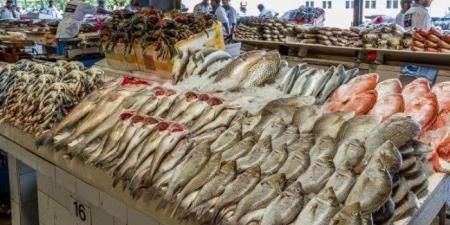 أسعار الأسماك والجمبري اليوم الإثنين 17 نوفمبر 2025 في سوق العبور - المصدر 7