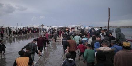 اللجنة المصرية بغزة: توزيع المساعدات على 98% من الأسر المتضررة واستمرار عمليات الإغاثة العاجلة - المصدر 7