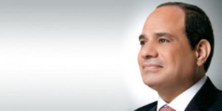 الرئيس السيسي يطالب بالإعلان عن الإجراءات المتخذة بشأن مخالفات الدعاية الانتخابية - المصدر 7