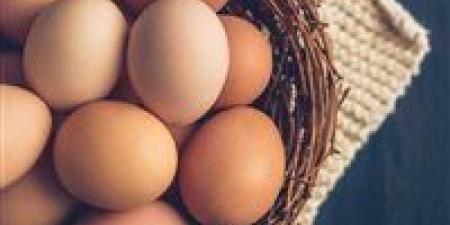 سعر طبق البيض يقترب من 100 جنيه… والمنوفي يحذّر: انهيار الأسعار يهدد خروج آلاف المربين - المصدر 7