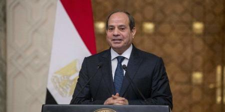 الرئيس السيسى: لا تترددوا فى إلغاء نتائج انتخابات البرلمان عند تعذر معرفة صوت الشعب - المصدر 7