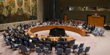 اليوم.. مجلس الأمن يصوت على خطة ترامب لنشر قوة دولية في غزة - المصدر 7