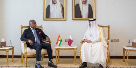 قطر وغانا تبحثان تعزيز علاقات التعاون التجاري والاستثماري بين البلدين - المصدر 7