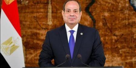 الرئيس السيسي يطالب بحصول مندوب كل مرشح بانتخابات النواب على صورة من حصر الأصوات - المصدر 7