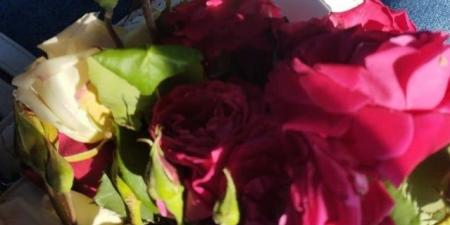 إبداعي - المصدر 7