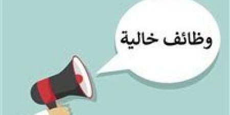 وزارة العمل تعلن عن 4202 فرصة عمل جديدة في 53 شركة بـ 14 محافظة - المصدر 7