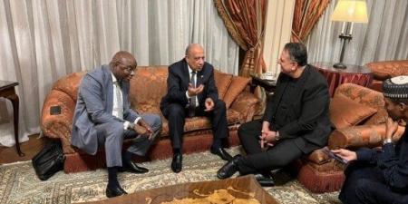 وزير الكهرباء يبحث مع وزير المياه والطاقة بجمهورية تشاد سبل دعم الشراكة والتعاون - المصدر 7