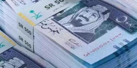 سعر الريال السعودي مقابل الجنيه المصري اليوم الإثنين 17 نوفمبر 2025 في البنوك - المصدر 7