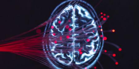 باستخدام أحد أسرع الحواسيب الفائقة.. بناء أكبر نموذج محاكاة للدماغ في التاريخ - المصدر 7