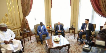 وزير الصناعة والنقل يشارك في اجتماعات اللجنة المصرية التشادية المشتركة.. تفاصيل مهمة - المصدر 7