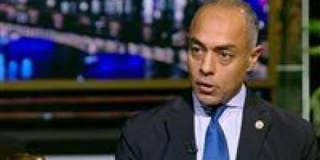 مدير الجهاز التنفيذي للهيئة الوطنية للانتخابات: هناك تقرير مبين به كافة الخروقات - المصدر 7